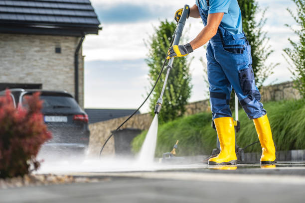 Best Solar Panel Cleaning  in Mountain City, TN